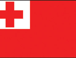 Tonga 12"x18" Stick Flag