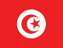 Tunisia 12"x18" Stick Flag