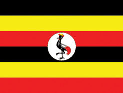 Uganda 12"x18" Stick Flag