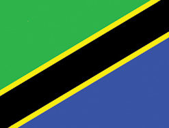 Tanzania 12"x18" Stick Flag