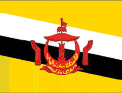Brunei 12"x18" Stick Flag