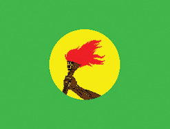 Zaire 12"x18" Stick Flag