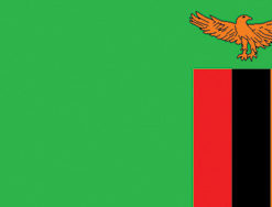 Zambia 12"x18" Stick Flag