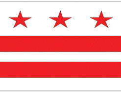Dist of Columbia 12"x18" Stick Flag
