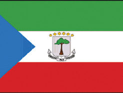 Equotoria Guinea 12"x18" Stick Flag