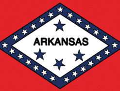 2'x3' Arkansas Polyester Flag