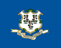 2'x3' Connecticut Polyester Flag