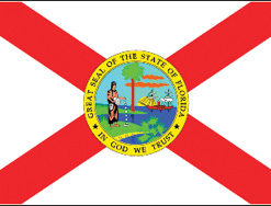 2'x3' Florida Polyester Flag