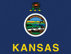 2'x3' Kansas Polyester Flag