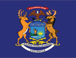 2'x3' Michigan Polyester Flag