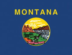 2'x3' Montana Polyester Flag