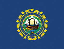 2'x3' New Hampshire Polyester Flag
