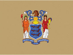 2'x3' New Jersey Polyester Flag