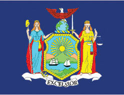 2'x3' New York Polyester Flag