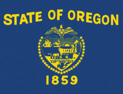 2'x3' Oregon Polyester Flag