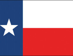 2'x3' Texas Polyester Flag