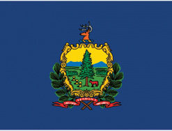 2'x3' Vermont Polyester Flag