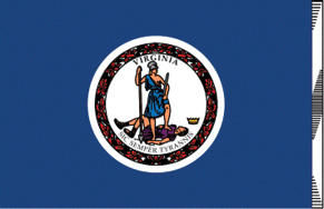 2'x3' Virginia Polyester Flag