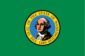 2'x3' Washington Polyester Flag