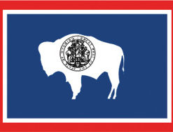 2'x3' Wyoming Polyester Flag