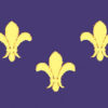 French Fluer 12X18 Handheld Stick Flags