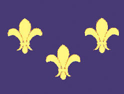 French 2x3' Poly Flag