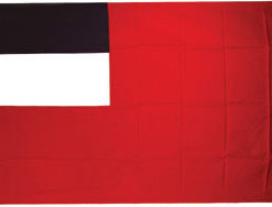 Georgia Rep 12"x18" Stick Flag
