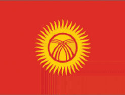 Kyragyzstan 12"x18" Stick Flag