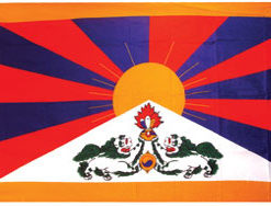 Tibet 12"x18" Stick Flag