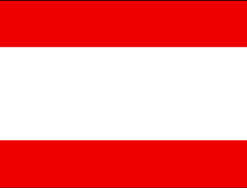 Tahiti 12"x18" Stick Flag