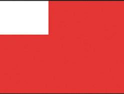 12"x18" Abu Dhabi Flag