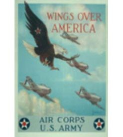Wings/America Banner
