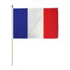 France 12x18in Stick Flag