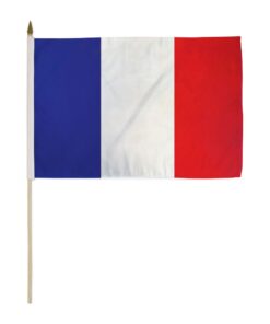 France 12x18in Stick Flag