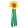 Sunny Flower