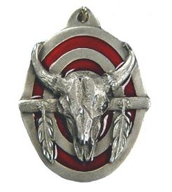 Steer Skull