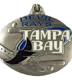 Devil Rays Key Chains