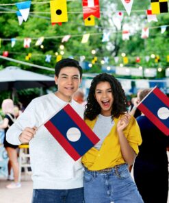 Laos 12x18in Stick Flag