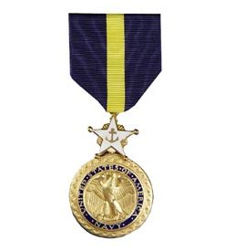 Navy Distinguished Service