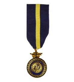 Navy Distinguished Service Mini Medal