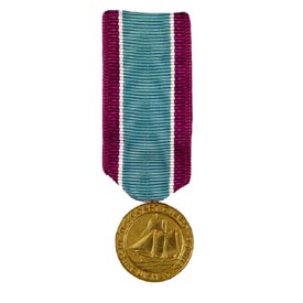 Distinguished Service Mini Medal