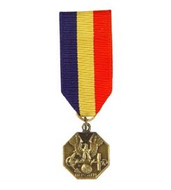 Navy/Marine Corps Mini Medal