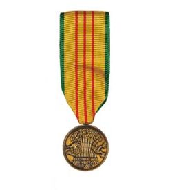 Vietnam Service Mini Medal