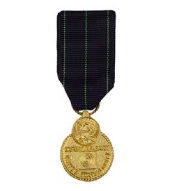 Rifle Marksmanship Mini Medal
