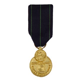 Rifle Marksmanship Mini Medal
