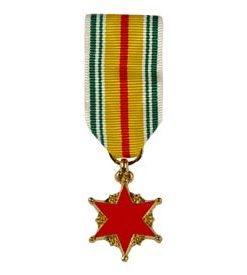 Wound Mini Medal