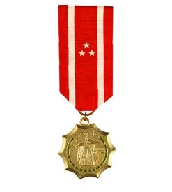 Phillippine Defense Mini Medal