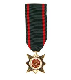 Civil Actions 2nd Class Mini Medal