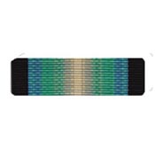 Antarctica Service Ribbon