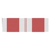 Training Services 1st Class Ribbon